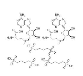 丁二磺酸腺苷蛋氨酸